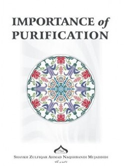 Importance of Purification Importance of Purification